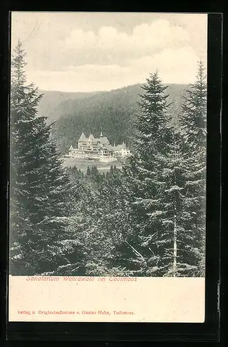 AK Todtmoos, Blick vom Wald auf das Haus Wehrawald