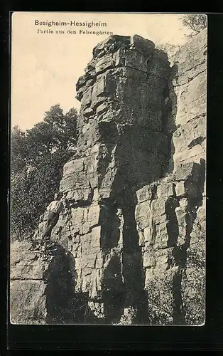 AK Besigheim-Hessigheim, Partie aus den Feslengärten