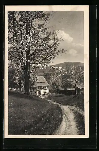 AK Cunewalde, Bauernhaus mit Blick auf Bieleboh