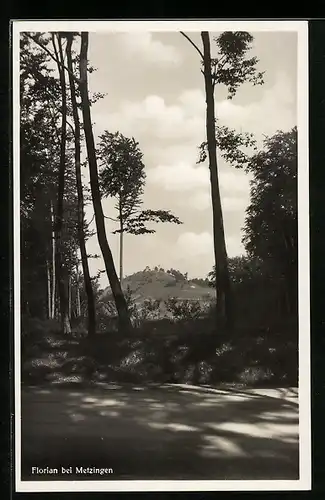 AK Metzingen, Sicht auf den Floriansberg