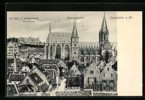 AK Oppenheim a. Rh., Grosse Wein- und Obstbauschule Lnadskrone und Katharinenkirche