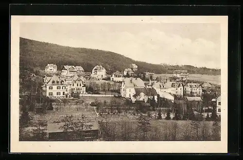 AK Königstein i. Taunus, Altkönig und Elisabethstrasse