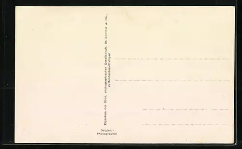 AK Friedrichshafen a. B., LZ 127  Graf Zeppelin  beim ersten Start 1928