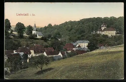 AK Liebstadt in Sa., Blick auf die Siedlung und die kleine Kapelle