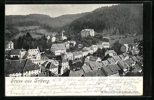 AK Triberg, Generalansicht der Stadt