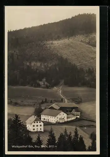 AK Arrach im bayr. Wald, Blick auf den Waldgasthof Eck