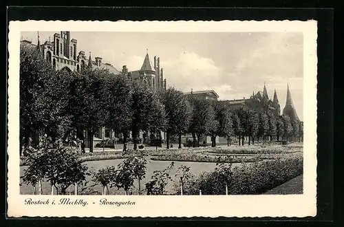 AK Rostock in Mecklenb., Rosengarten