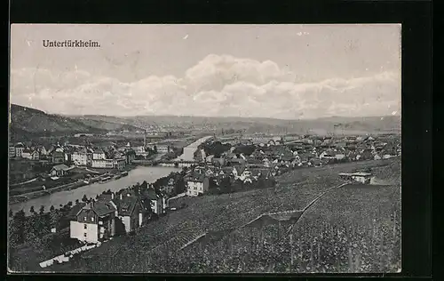 AK Untertürkheim, Stadtansicht von eienm Weinberg aus gesehen