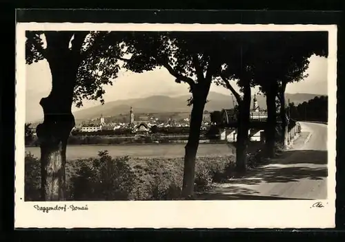 AK Deggendorf / Donau, Ortsansicht und Flusspartie mit Brücke