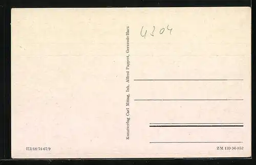 AK Friedrichsbrunn /Harz, Gasthaus Waldesruh