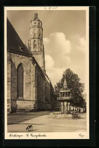 AK Nördlingen, St. Georgskirche mit Brunnen, Hund