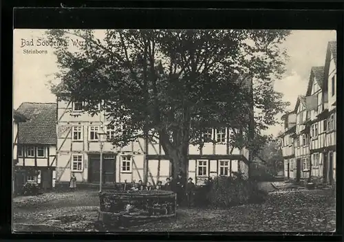 AK Bad Sooden a. Werra, Strassenpartie am Steinborn