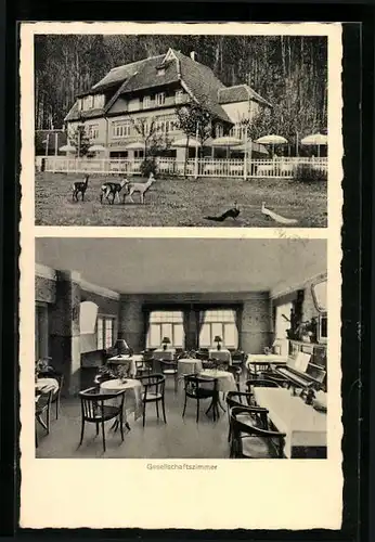 AK Bad Pyrmont, Cafe-Restaurant Königin-Luise-Stein