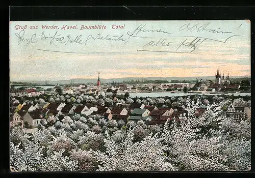 AK Werder a.d. Havel, Generalansicht der Stadt