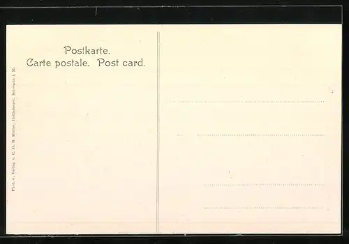 AK Schwerin i. M., Partie im Burggarten