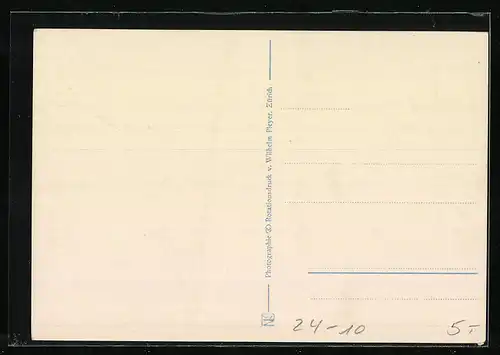 AK Zürich, Zürichseegefrörne im Jahr 1929, Die Zuflucht der Wasservögel