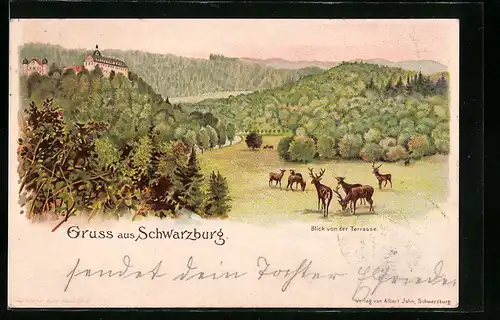 Lithographie Schwarzburg, Blick von der Terrasse