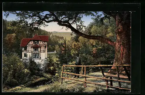 AK Themar i. Th., Gasthaus Waldhof und dicke Eiche