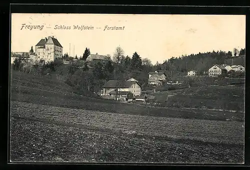 AK Freyung, Ortsansicht mit Schloss Wolfstein und Forstamt