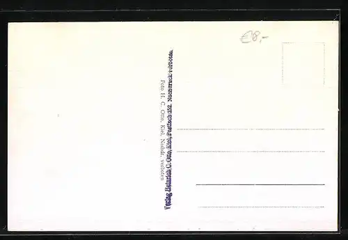 AK Satrup / Angeln, Ortspartie, Fabrik und verschiedene Gebäude