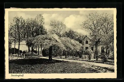 AK Steinberghaff / Ostsee, Ortspartie