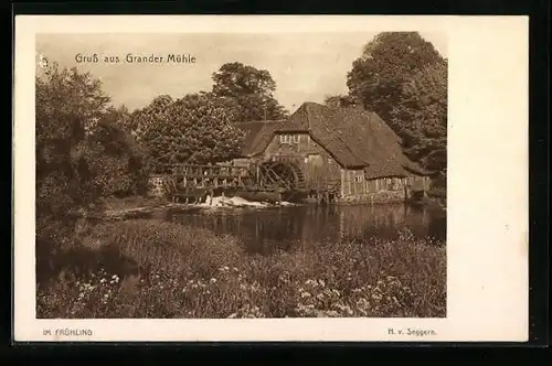 AK Friedrichsruh, Grander Mühle im Frühling