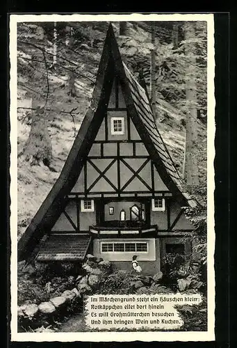 AK Bad Sachsa / Harz, Märchengrund, Märchenspiel Rotkäppchen und der Wolf