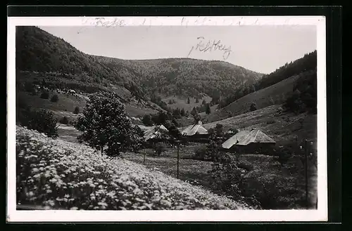 AK Fahl / Wiesental, Gesamtansicht mit Feldberg