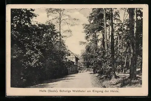 AK Halle / Saale, Schurigs Waldkater am Eingang der Heide