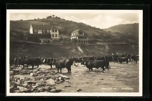 AK Altenbrak / Harz, Kurhotel, Kuhtränke am Strand