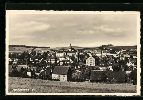 AK Dippoldiswalde i. Sa., Totale von der Bergwiese aus gesehen