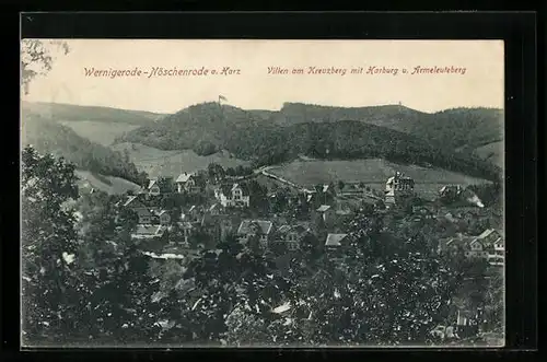 AK Wernigerode-Nöschenrode / Harz, Villen am Kreuzberg mit Harburg und Armeleuteberg