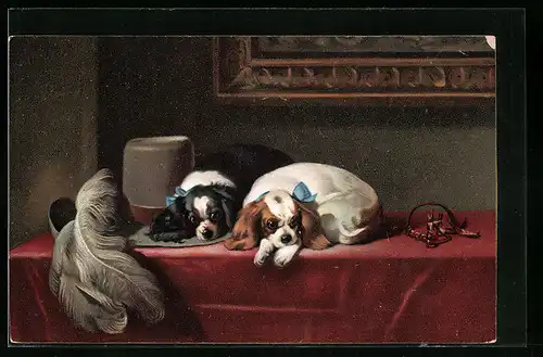 AK Spaniel mit erstaunten Blicken auf Tisch neben einem Hut