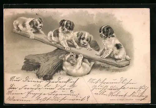 Präge-Lithographie Hundewelpen auf einer Wippe