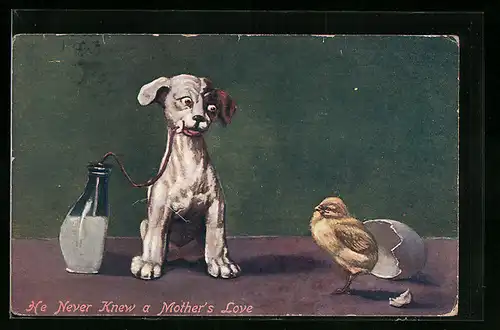 AK Hund mit Milchflasche und frisch geschlüpftes Küken