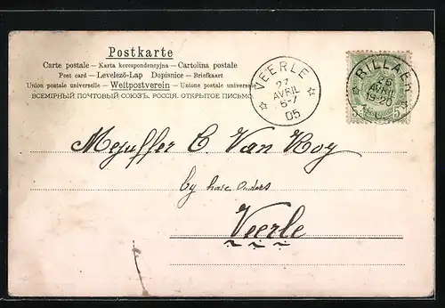 AK Zwei Hunde streiten sich um eine Harlekinpuppe