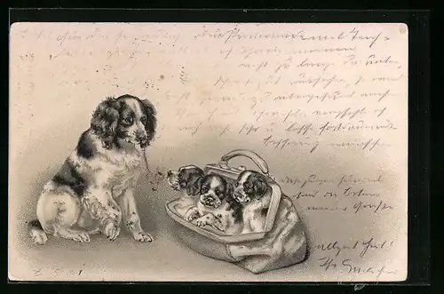 Präge-Lithographie Hundemutter neben drei Welpen in einer Tasche