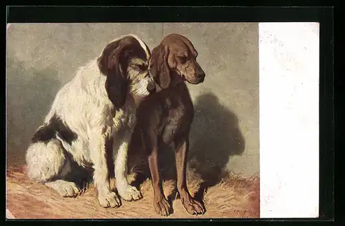 AK zwei müde Jagdhunde