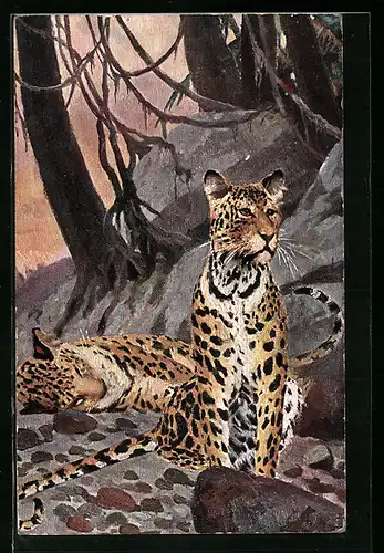 Künstler-AK Leoparden ruhen im Urwald