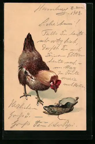 Präge-AK Neugieriges Huhn untersucht einen Schuh