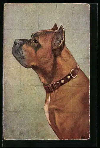 Künstler-AK Boxer im Profil