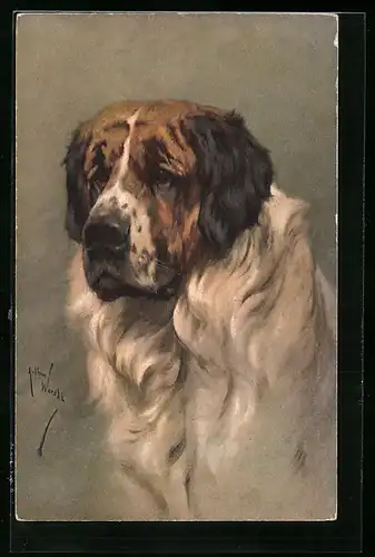 Künstler-AK Altgedienter Bernhardiner mit treuem Blick