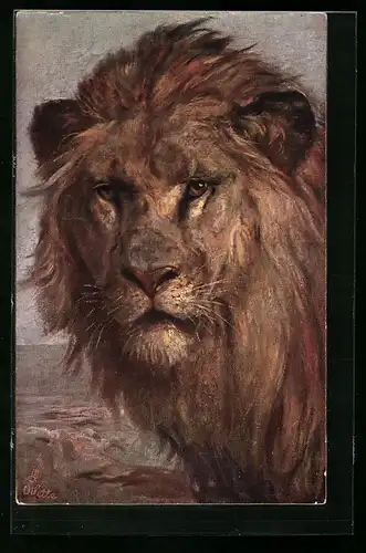 Künstler-AK Kopf eines Löwen mit Mähne