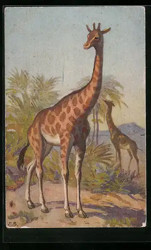 Künstler-AK Giraffen in der afrikanischen Savanne