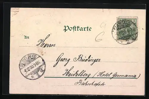 AK Darmstadt, Uferpartie am Jagdschloss Kranichstein