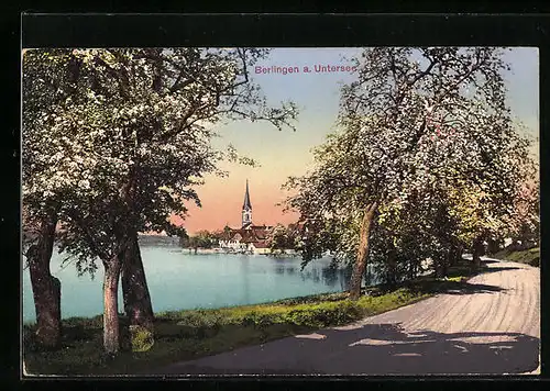 AK Berlingen a. Untersee, Blick über den See zum Ort
