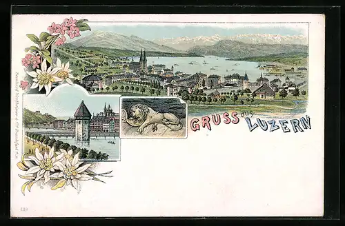 Lithographie Luzern, Teilansicht mit Brücke und Turm, Gesamtansicht, Löwe mit Wappen