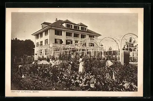 AK Bern, Institut Elfenau, Gartenansicht mit gärtnernden Damen