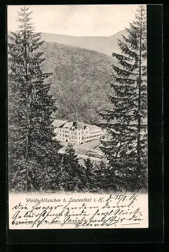 AK Lautenthal i. H., Blick auf das Waldschlösschen