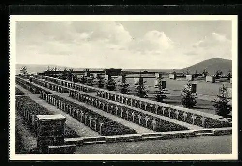 AK Heidelberg, auf dem Ehrenfriedhof